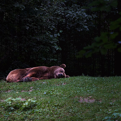 Wildpark Bad Mergentheim 04.07.2020 // Moritz Kirschner (moritzkirschner.com)